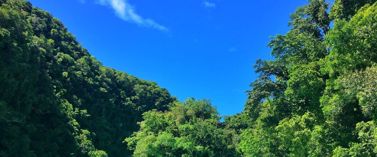 Enjoy the white mud bath with great views.Put it on your face and body, it’s good for beauty!