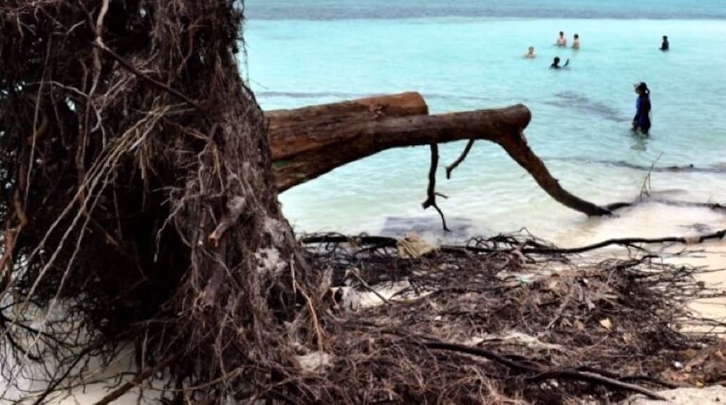 A small island we stopped at while on a snorkeling tour.