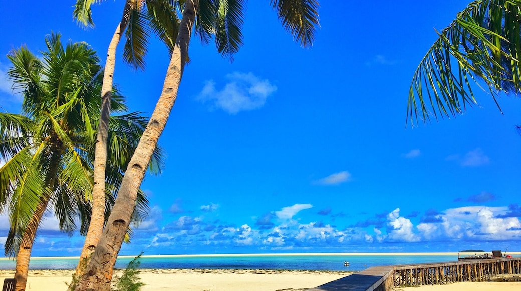 I’ve never been to heaven, but I’ve been to Palau.
#Palau #PacificOcean
This is where you can see the sky and the sea expanding boundlessly, take a nap on the hammock with feeling the calm wind.
