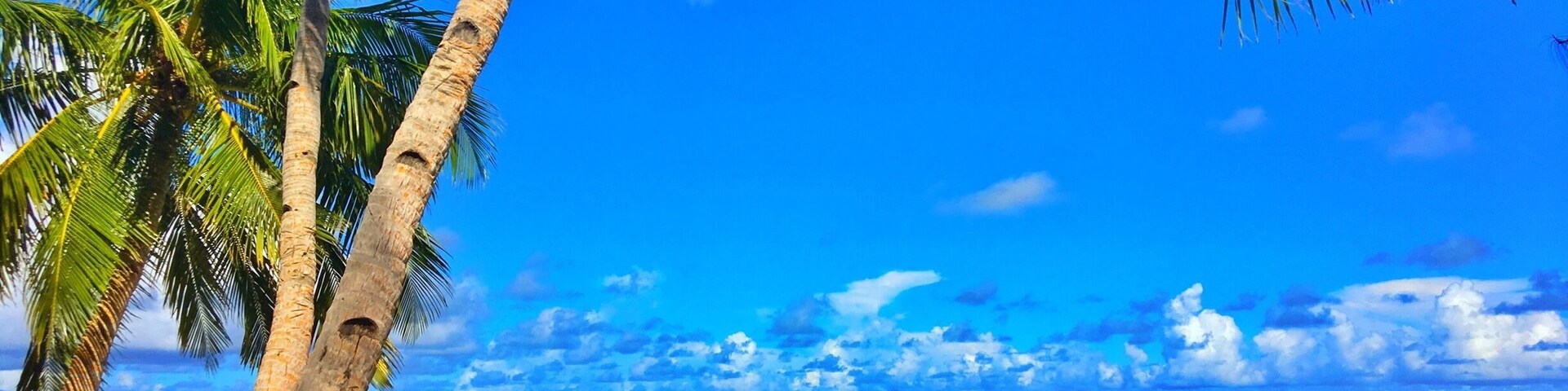 I’ve never been to heaven, but I’ve been to Palau.
#Palau #PacificOcean
This is where you can see the sky and the sea expanding boundlessly, take a nap on the hammock with feeling the calm wind.