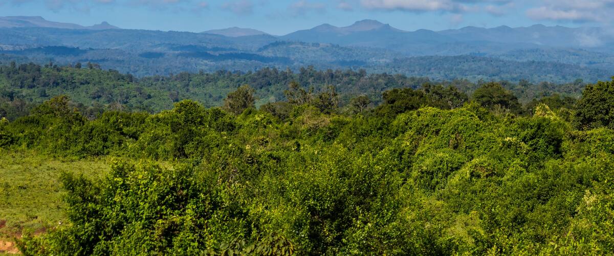 A mountainous landscape with lush green vegetation and a clear blue sky with scattered clouds.