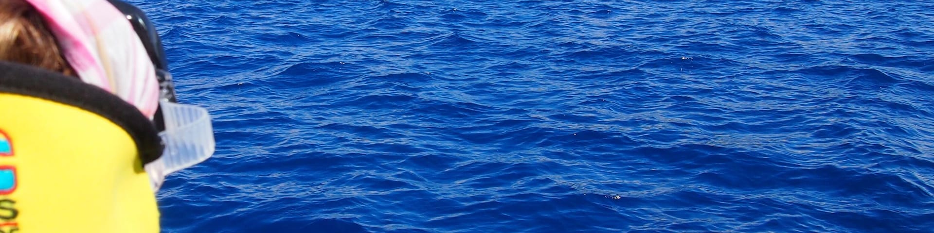 Uma baleia nadando no oceano, com uma pessoa apontando para ela.