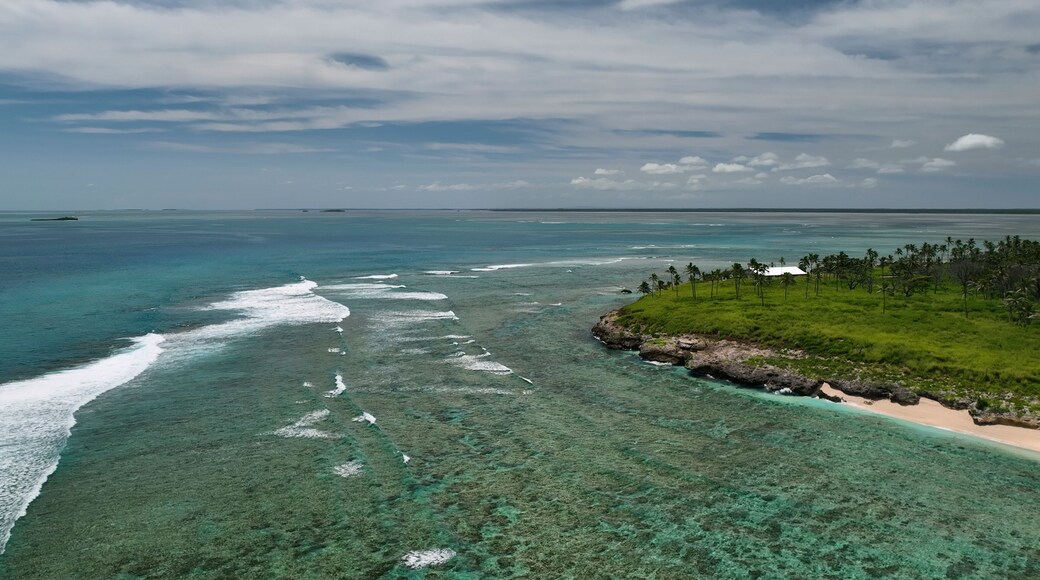 Aerial view of tropical island with coral reef and palm trees, Ha'atafu, Tonga.