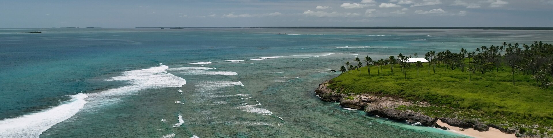 A tropical island with clear turquoise waters, a sandy beach, and a small cluster of palm trees.