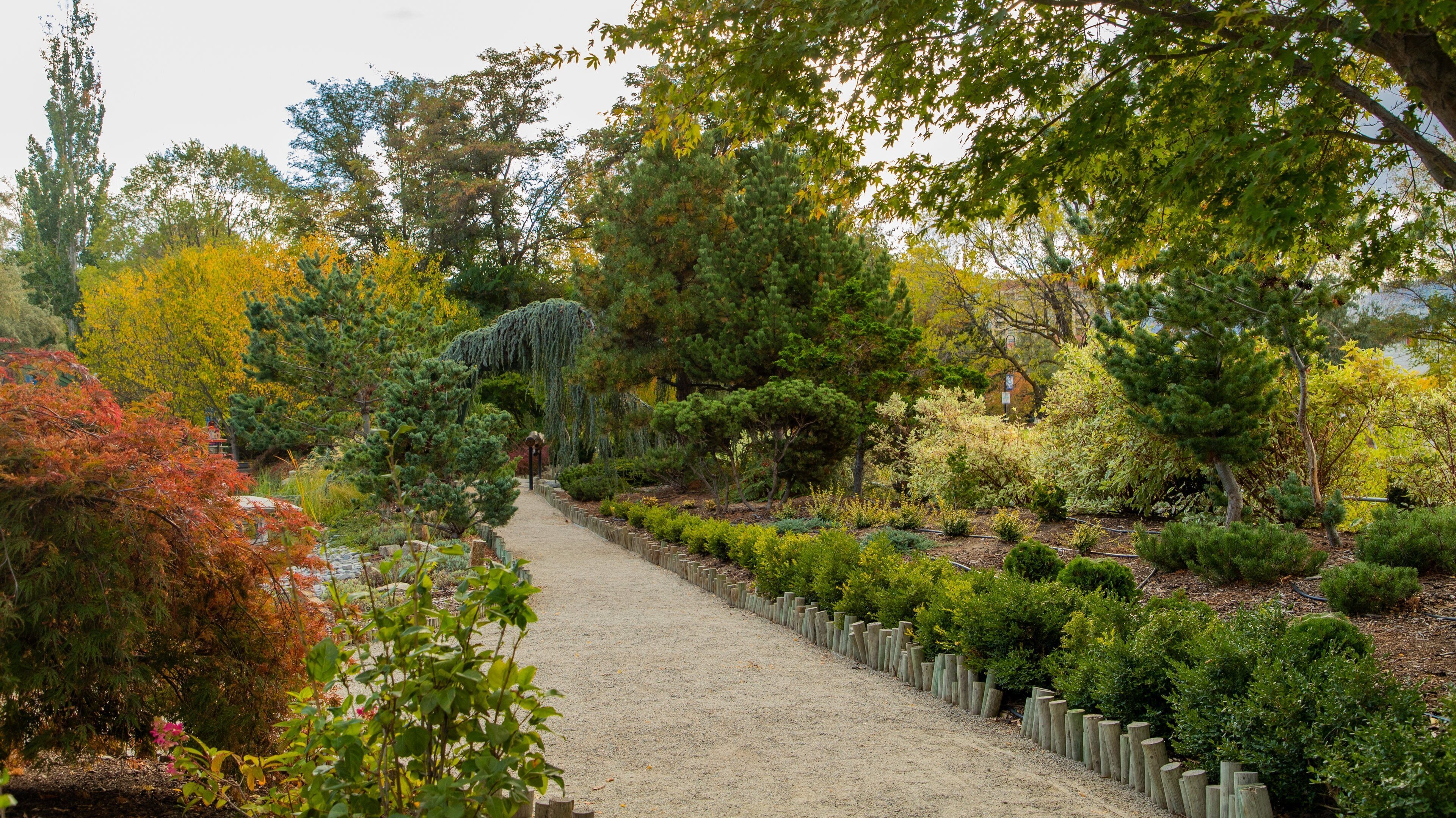 Penticton Ikeda Japanese Garden showing a garden