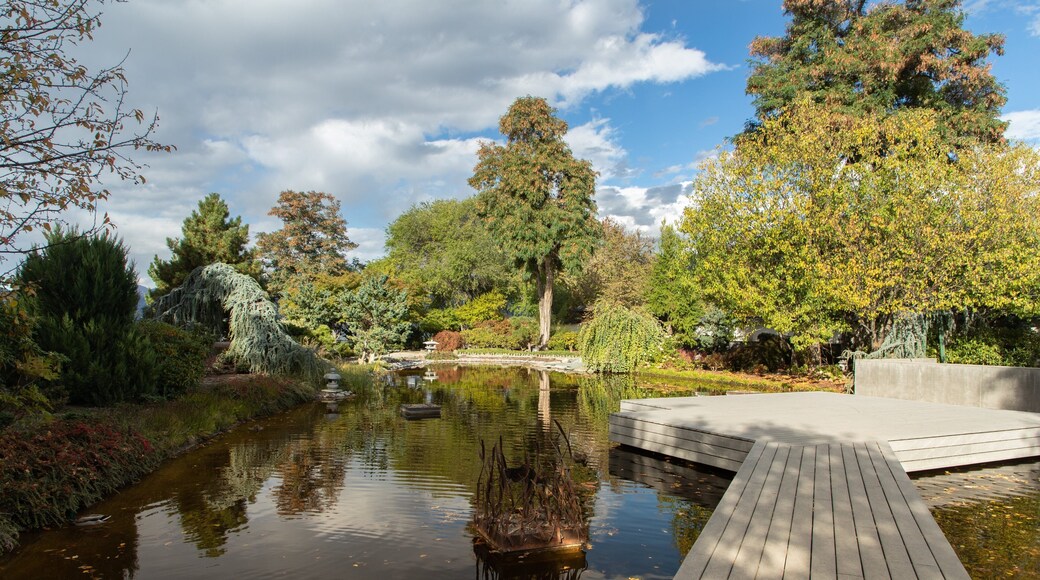 Penticton Ikeda Japanese Garden featuring a pond