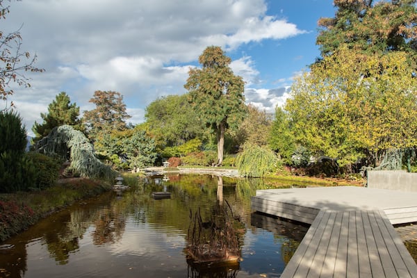 Penticton Ikeda Japanese Garden featuring a pond