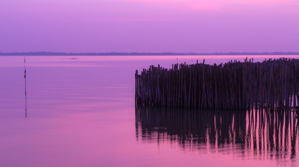 Beautiful evening sky after sunset Don Hoi Lot The colors of the evening sky Don Hoi Lot Samut Songkhram Province, Thailand