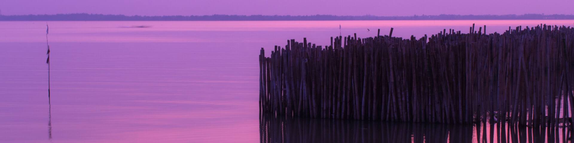 Beautiful evening sky after sunset Don Hoi Lot The colors of the evening sky Don Hoi Lot Samut Songkhram Province, Thailand