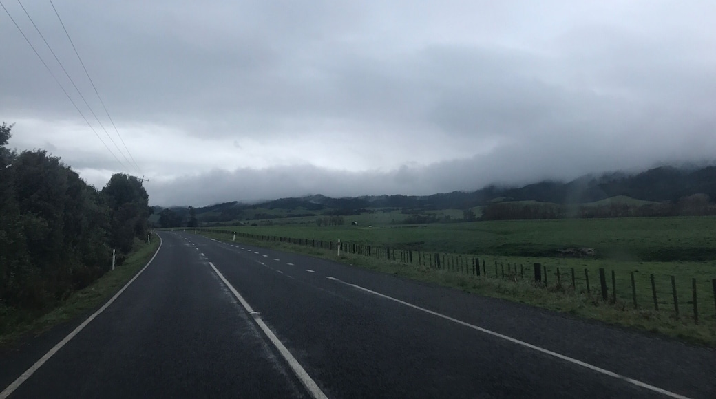 A moody and rainy drive, makes me want to crawl into the bed in the back.