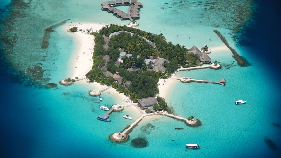 Bolifushi