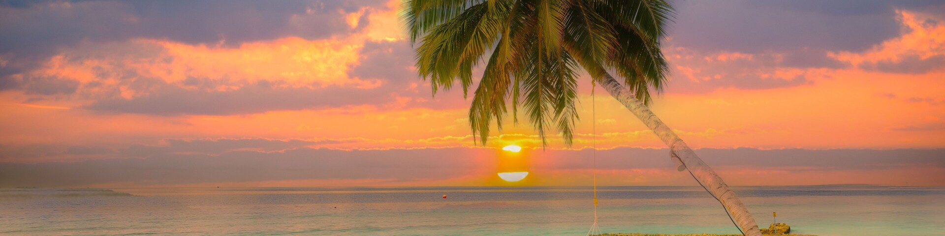 Uma praia com coqueiro, oceano e pôr do sol.