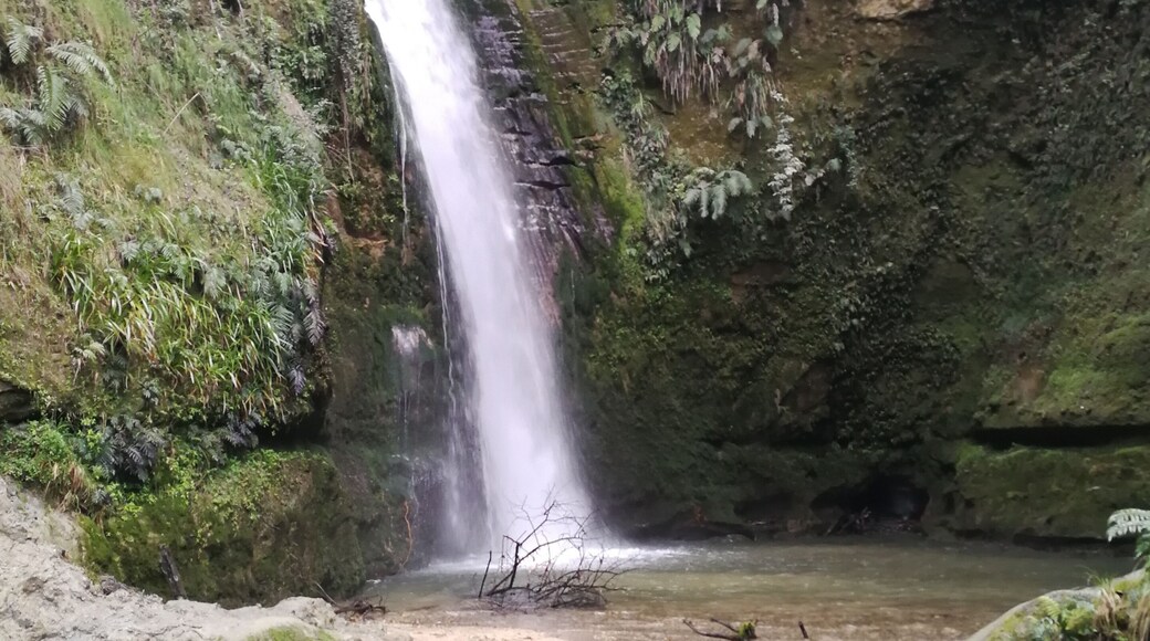 Te Ana Falls. Just off the Pacific Coast Highway, about 20km North of Napier.