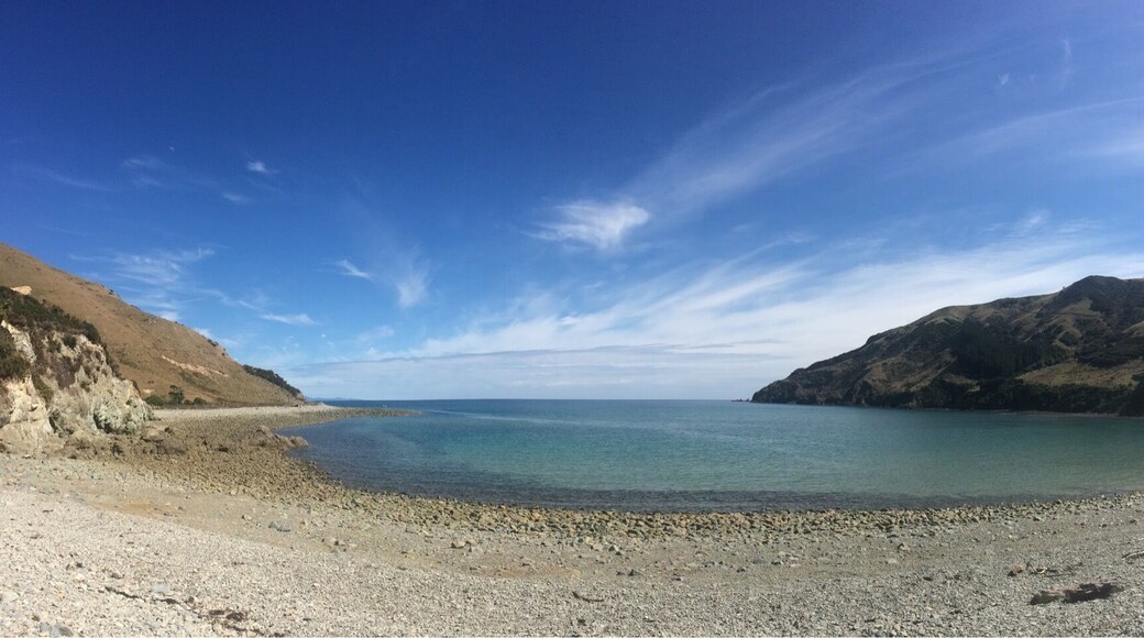 Cable bay and the cable bay cafe! Fantastic place for breakfast away from the Nelson and Richmond crowds