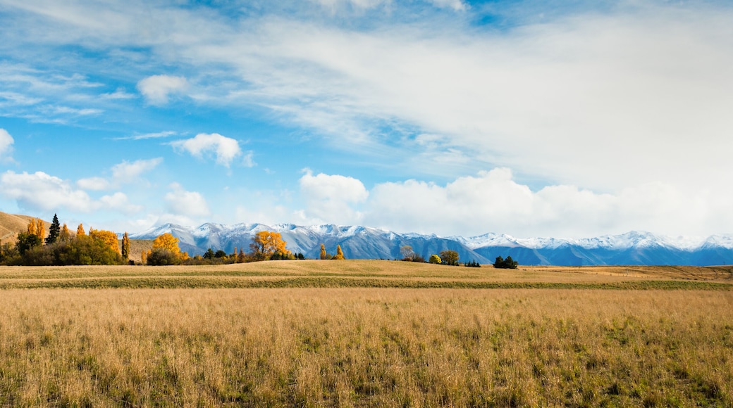Panoramic view of Ben Ohau range in autumn, Twizel, Canterbury, South Island.