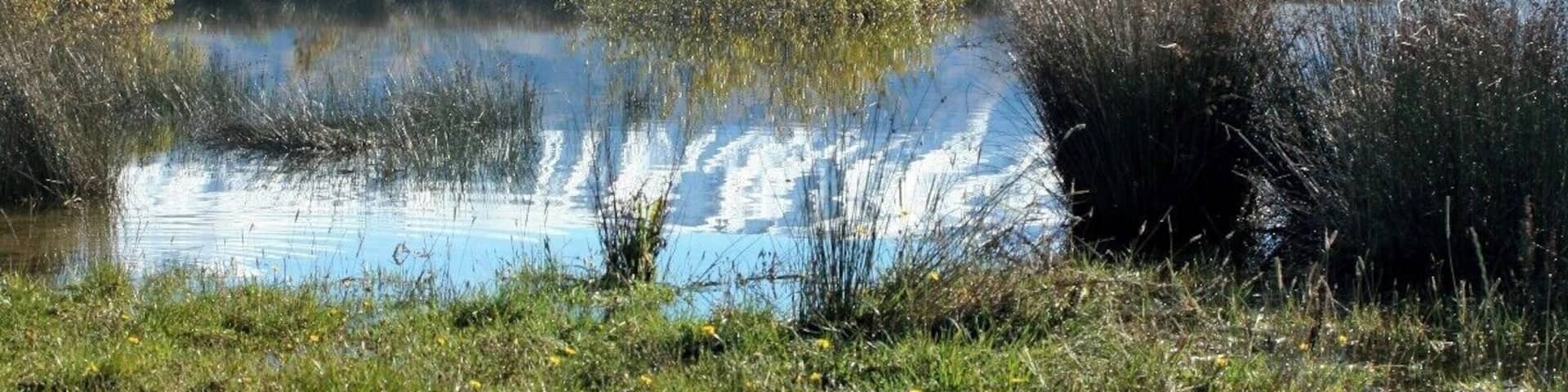 A beautiful day at Lake Opuha, close to Fairlie.