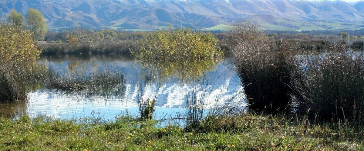 A lake with snow-capped mountains in the background.
