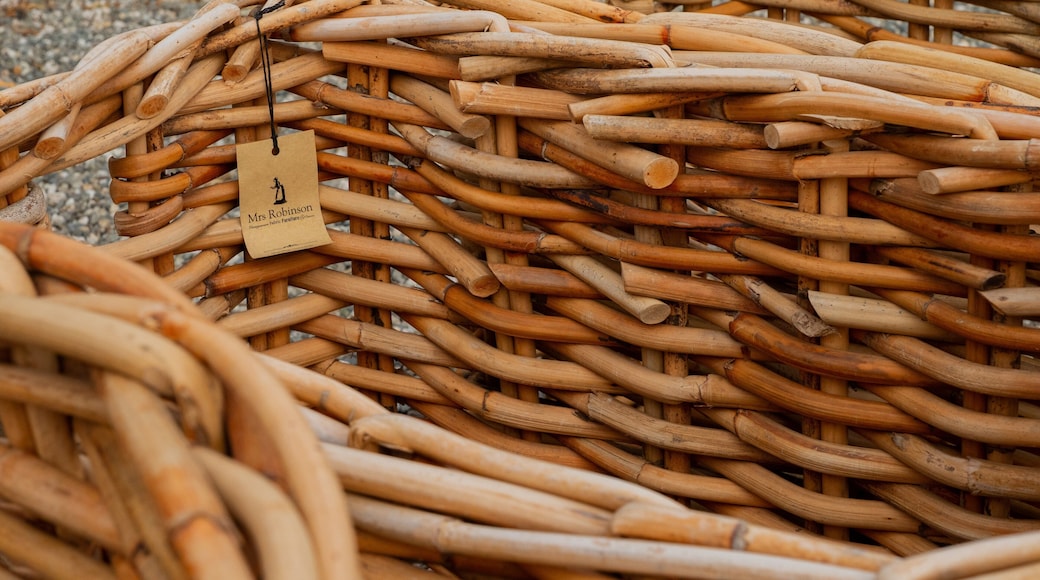 Tarras featuring signage