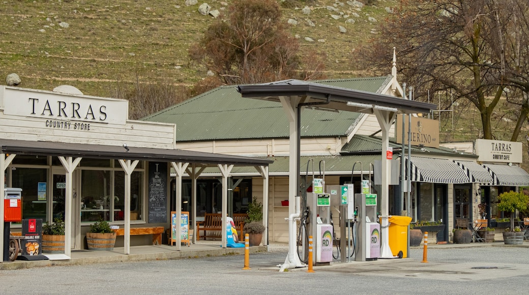 Tarras showing a small town or village