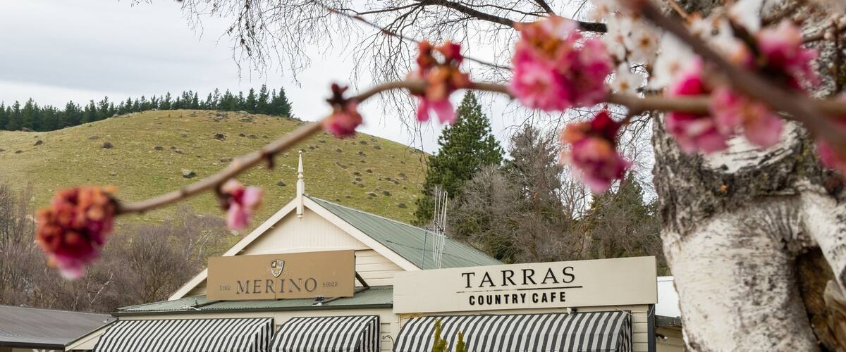 A country cafe named TARRAS with a sign for The Merino Shop.