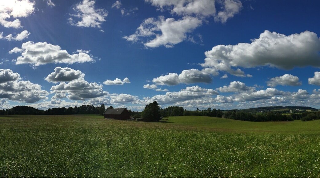 View over the countryside where I come from - a small village named Vartofta, located about 220km to the east of Gothenburg in Västergötland. An area mostly famous for the ancient stone- and bronze age findings (graves, jewlery, pottery), the birds of lake Hornborga and of course its many churches.
What I like about this off-the-beaten-path area is mostly the landscape. Crop fields in different sizes and colors, green hills, thick forests. It all makes a perfect place to wander off and just relax and enjoy the nature.
If ever coming to the south/west of Sweden, give me a shout and I'll give you some tips - or, if I'm not out travelling, I might even show you around the area! 😊
#panorama #iphone #sweden