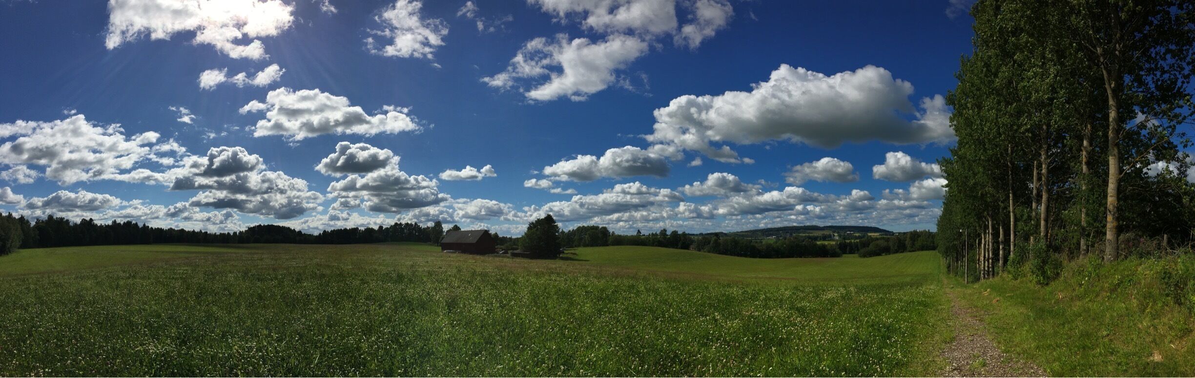 A green field with scattered trees and a clear blue sky with clouds.