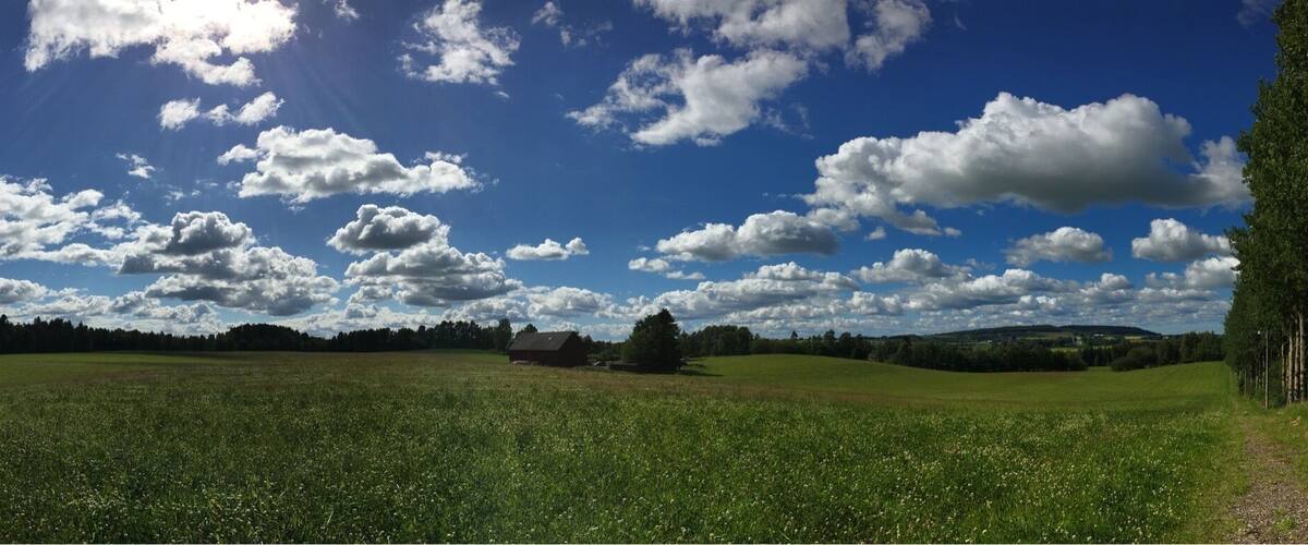 A green field with scattered trees and a clear blue sky with clouds.