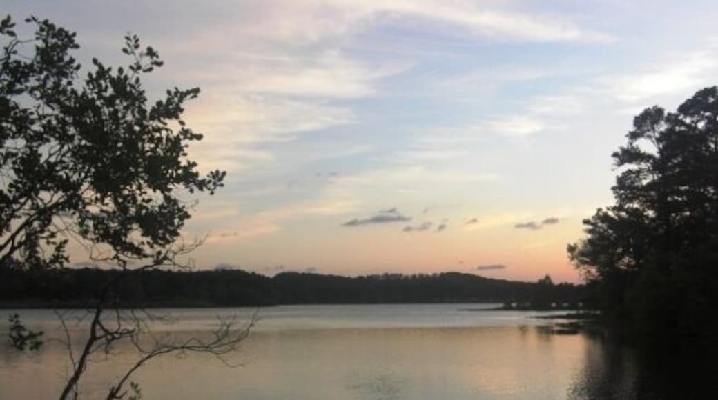 Evening sunset on Lake Allatoona. #takeahike
