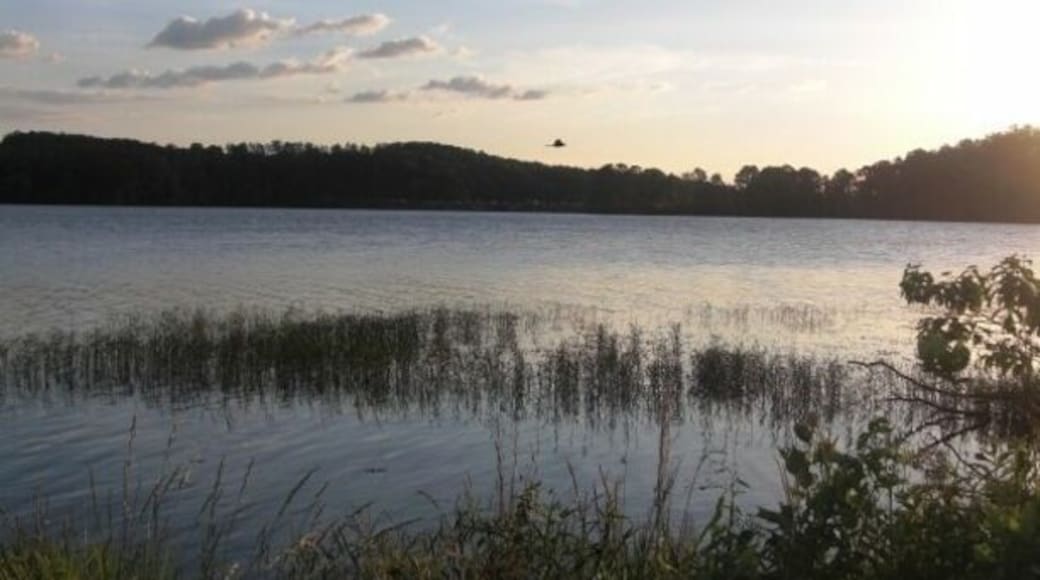 Allatoona Lake at sunset. #nofilter