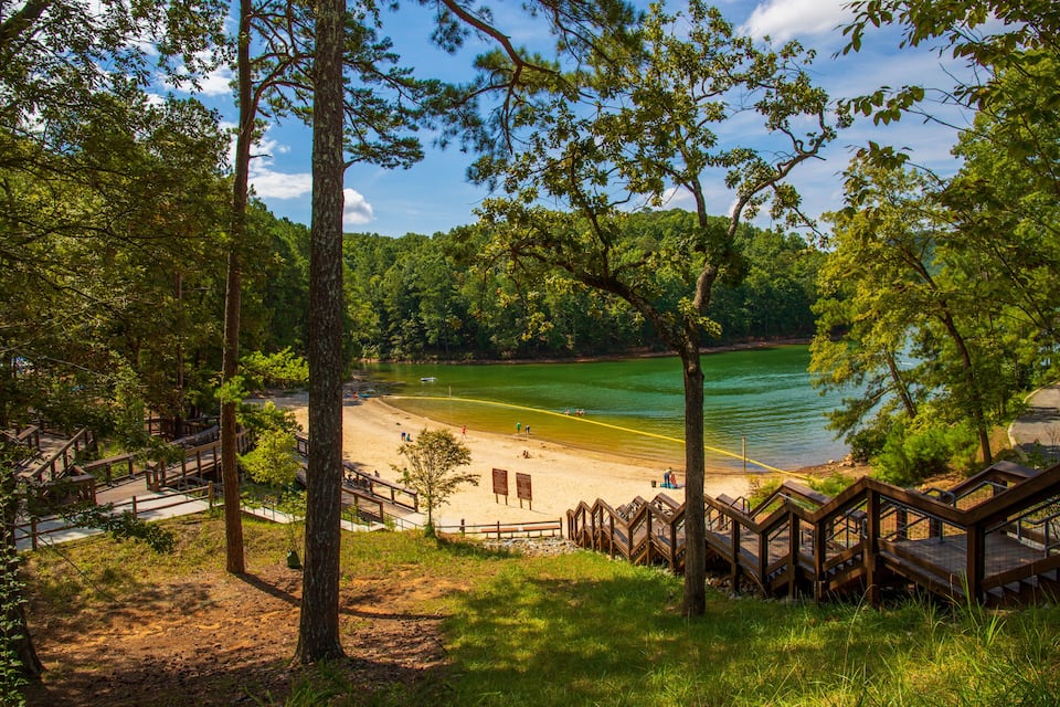 A forested beach with wooden walkways and a clear view of the water.