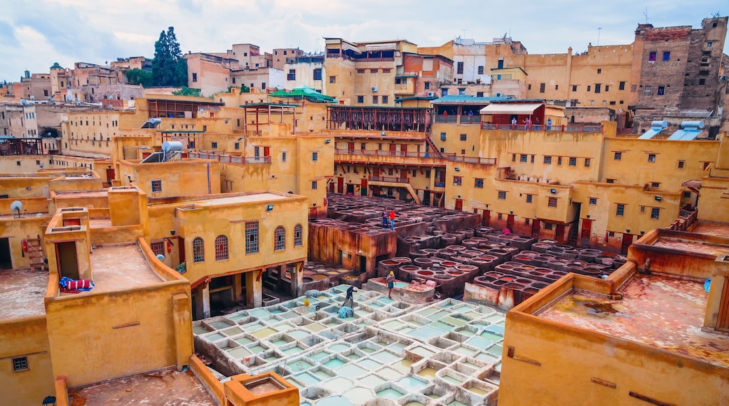 Traditional tannery in ancient medina of Fez, Morocco