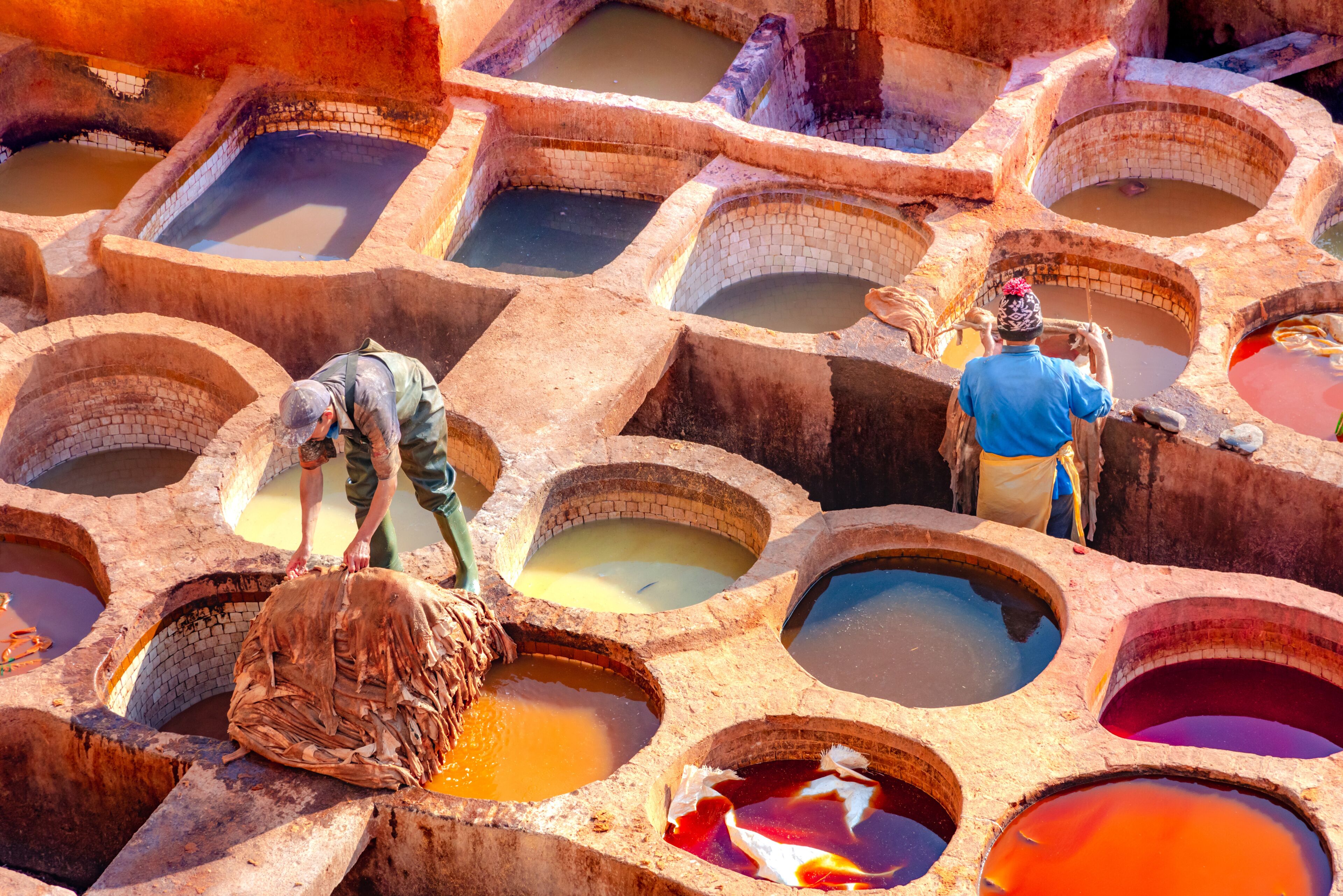 Leather dying in a traditional tannery in the city Fes, Morocco
