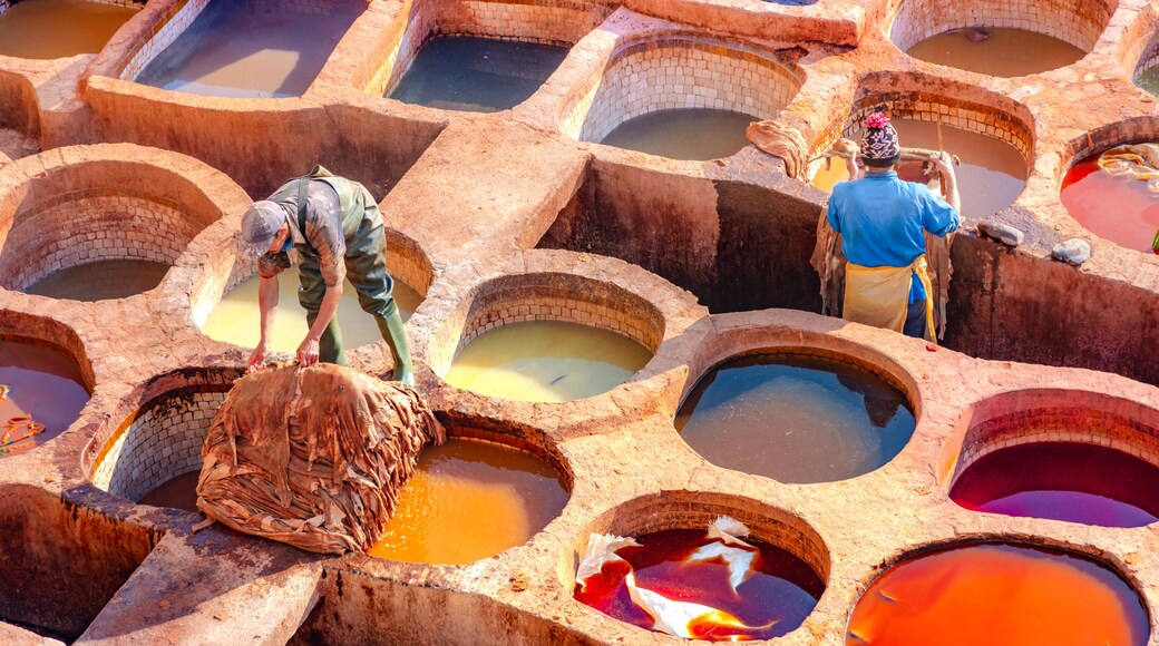 Leather dying in a traditional tannery in the city Fes, Morocco