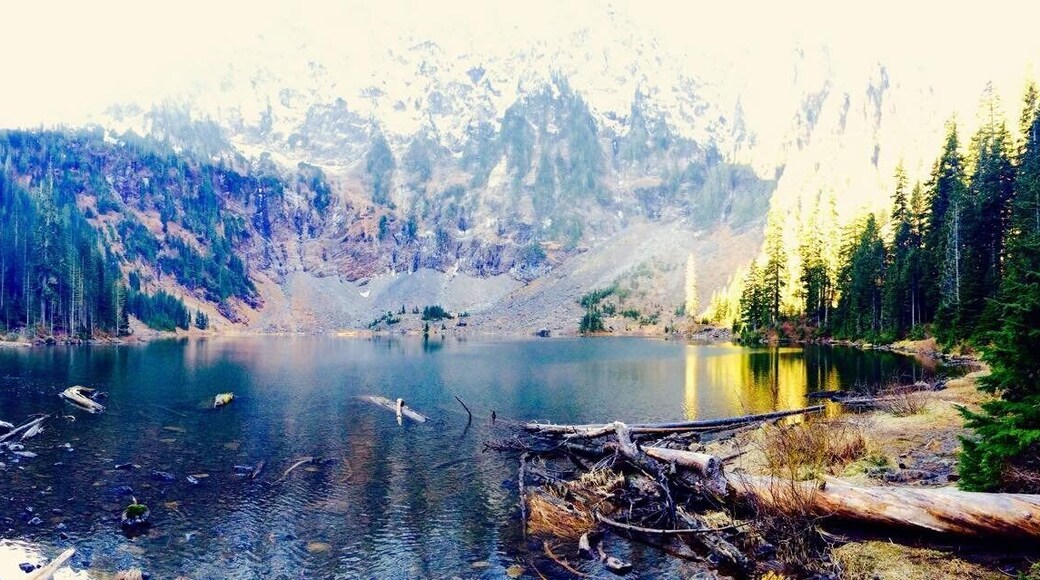 Mt. Baker-Snoqualmie National Forest