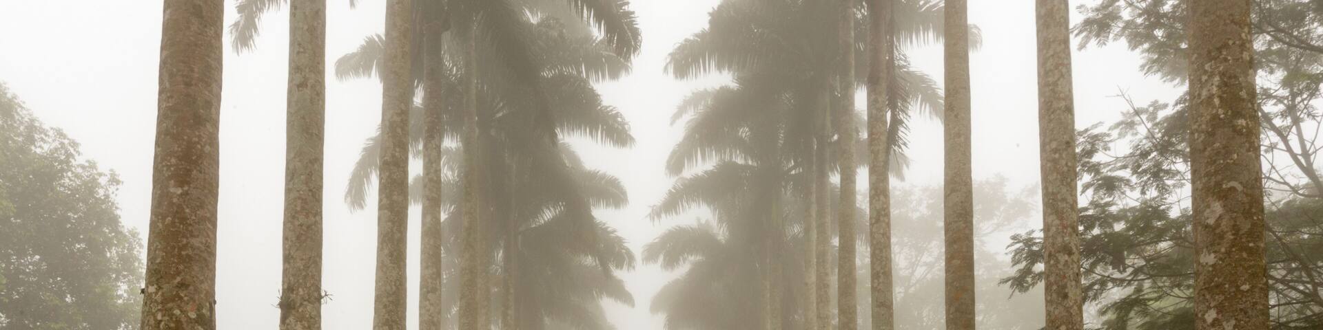 Aburi Botanic Garden