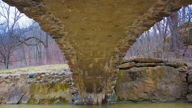 Fresh perspective that the typical bridge photo #bridge #landscape