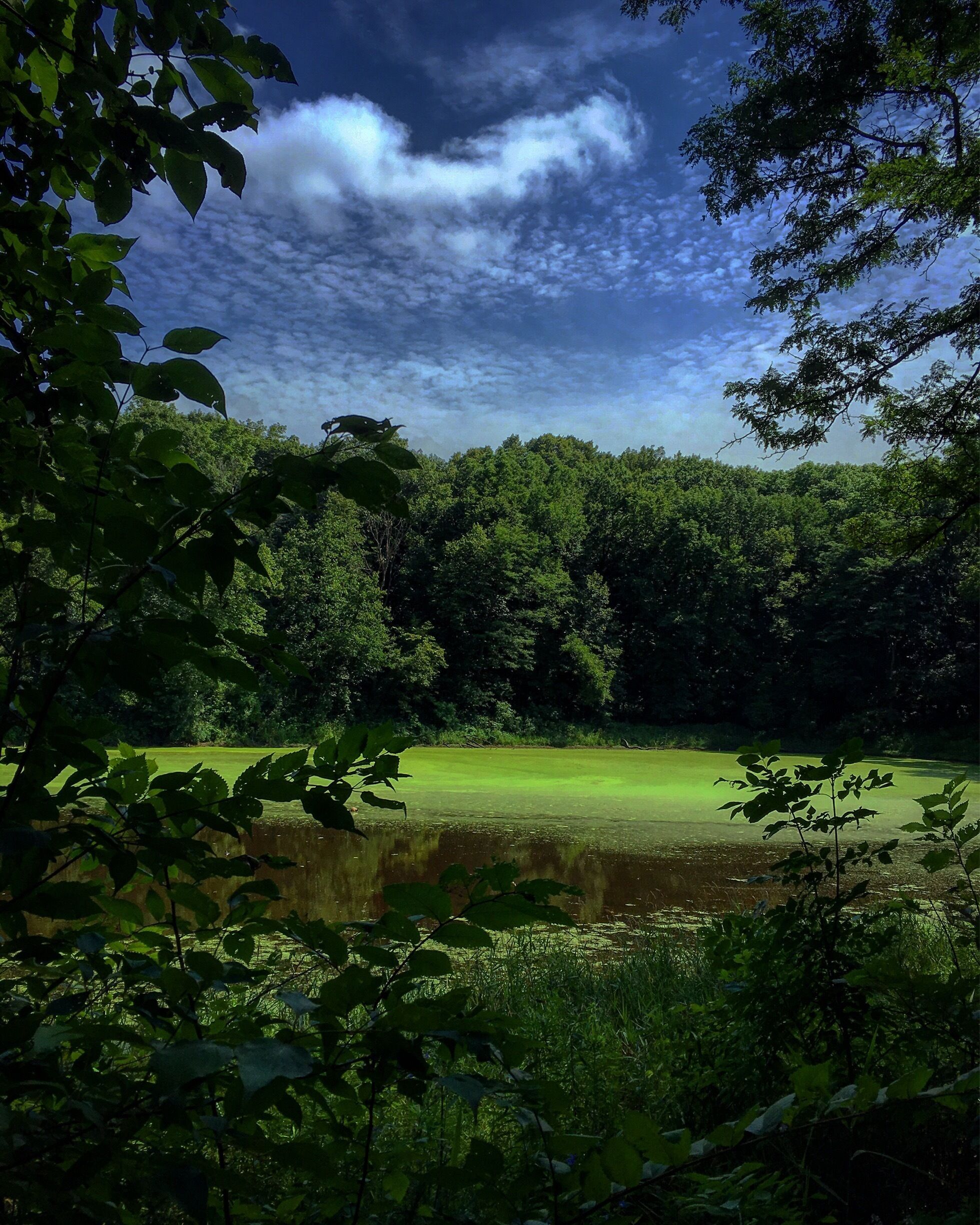 Small pond overlook at Ledges State Park #lovemytown