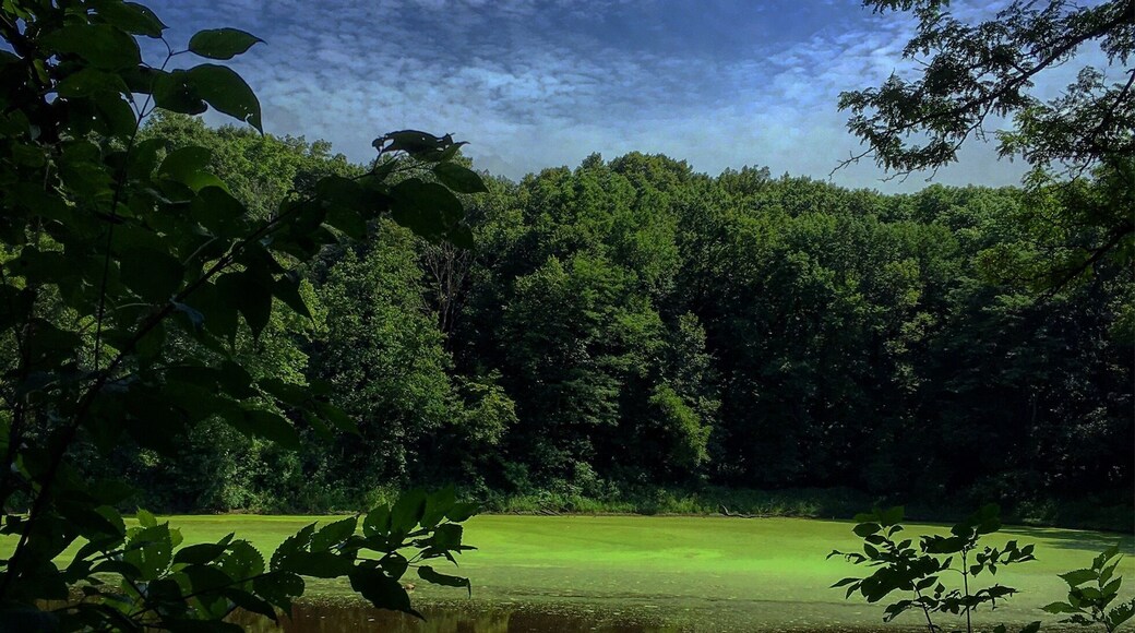 Small pond overlook at Ledges State Park #lovemytown