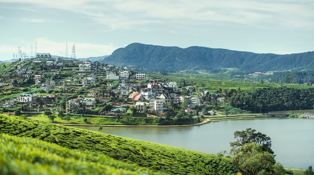 Scenic Lake Gregory And Tea Estates In Nuwara Eliya, Sri Lanka View