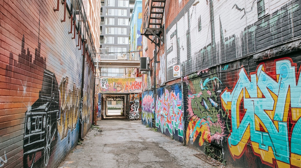 Graffiti Alley showing outdoor art