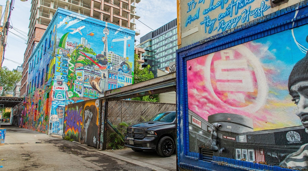 Graffiti Alley showing outdoor art