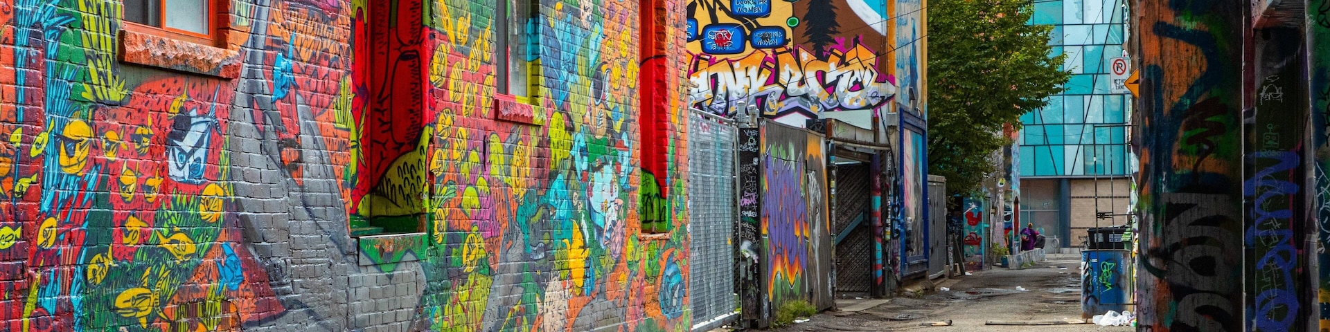 Graffiti Alley featuring outdoor art