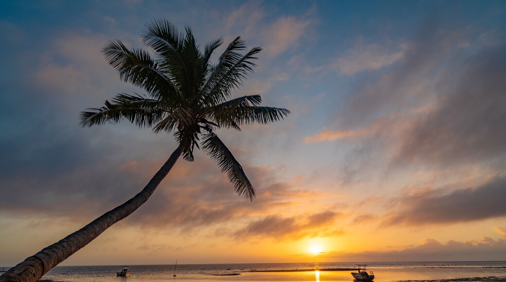 Sunrise at Oneta Resort.
It is truly a special place. The only way to get there is by boat. It’s a small resort with great food. There is world class fishing and diving from the resort and a manta day cleaning station where you can snorkel and dive with mantas only a 5 minute boat ride away.