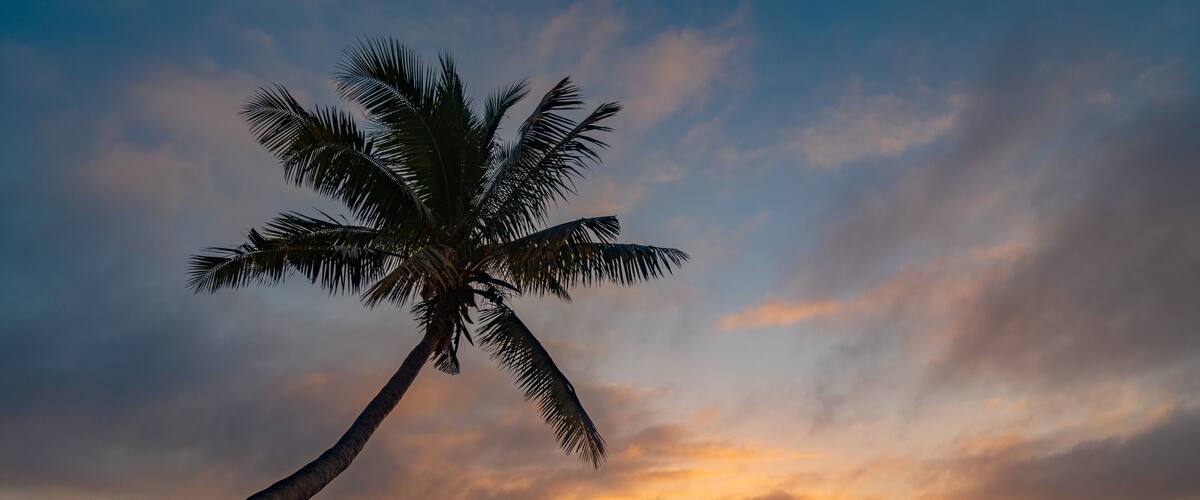 Sunrise at Oneta Resort.
It is truly a special place. The only way to get there is by boat. It’s a small resort with great food. There is world class fishing and diving from the resort and a manta day cleaning station where you can snorkel and dive with mantas only a 5 minute boat ride away.