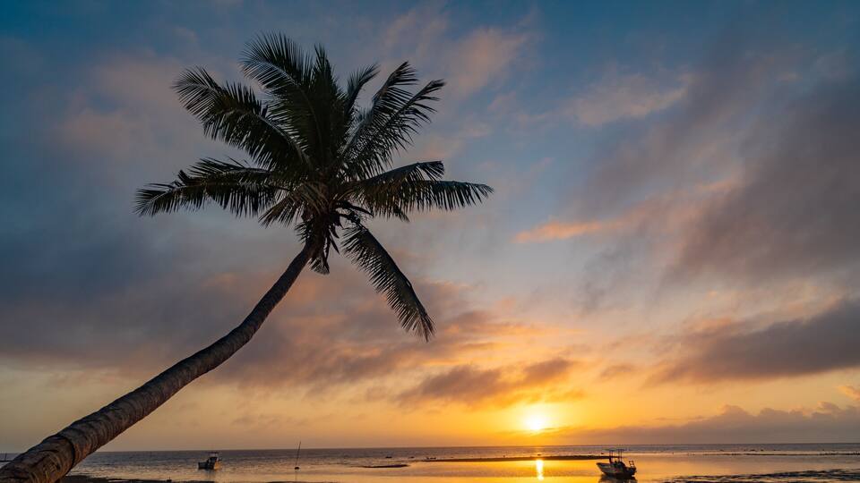 A sunset over a beach with a palm tree and two boats.
