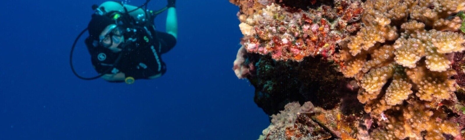 Diving the Great Astrolabe Reef with Oneta Island Resort.  This is  a divers paradise.  We never saw another dive boat the entire week as there is only one other resort that can even dive the North part of the Great Astrolabe Reef from their land based location.  The resort is top notch too.  
Best of all there is a mantra cleaning station a 2 minute boat ride away where if you ask they will stop and check if the mantas are home and let you snorkel with them before or after your dives.