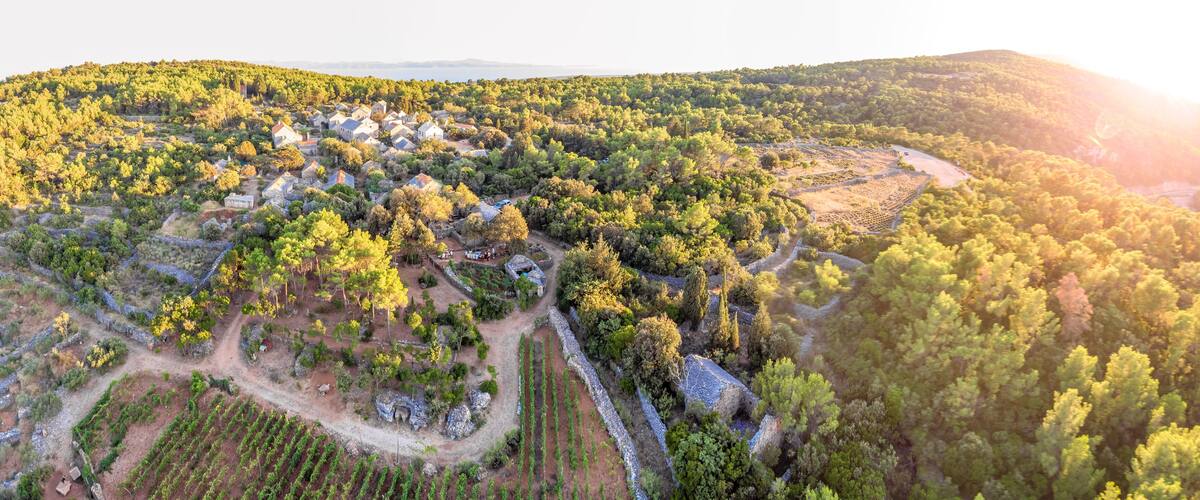 A rural landscape with scattered houses, vineyards, and dense forested hills.