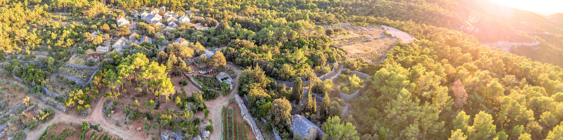 A rural landscape with scattered houses, vineyards, and dense forested hills.