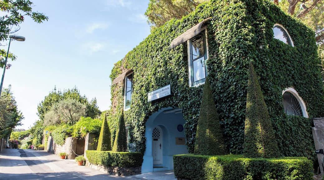 Ischia_GiardiniLaMortella_553248635931713049_004