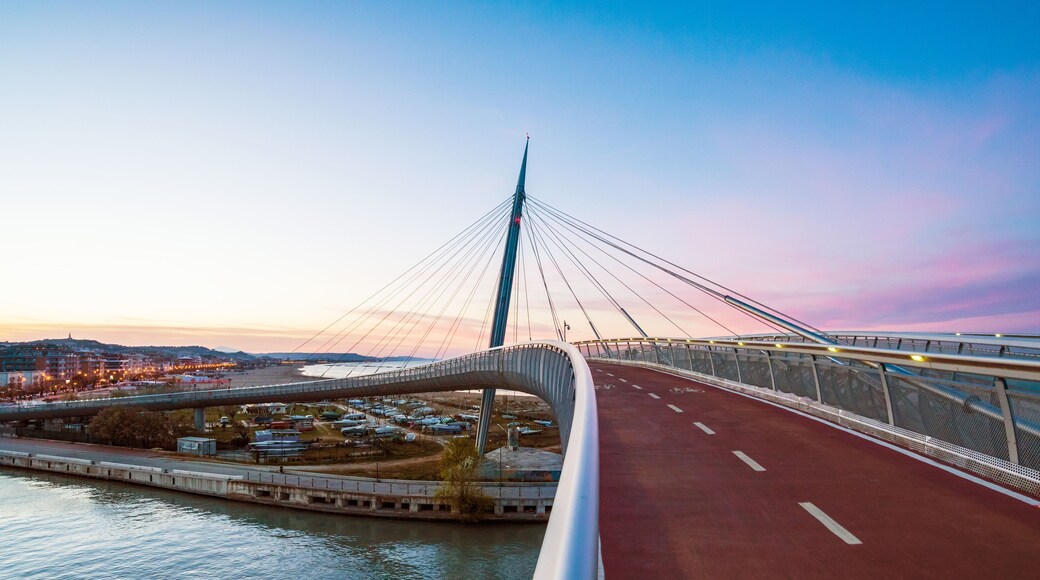 Un puente atirantado con una carretera roja, una masa de agua y un paisaje urbano al fondo.